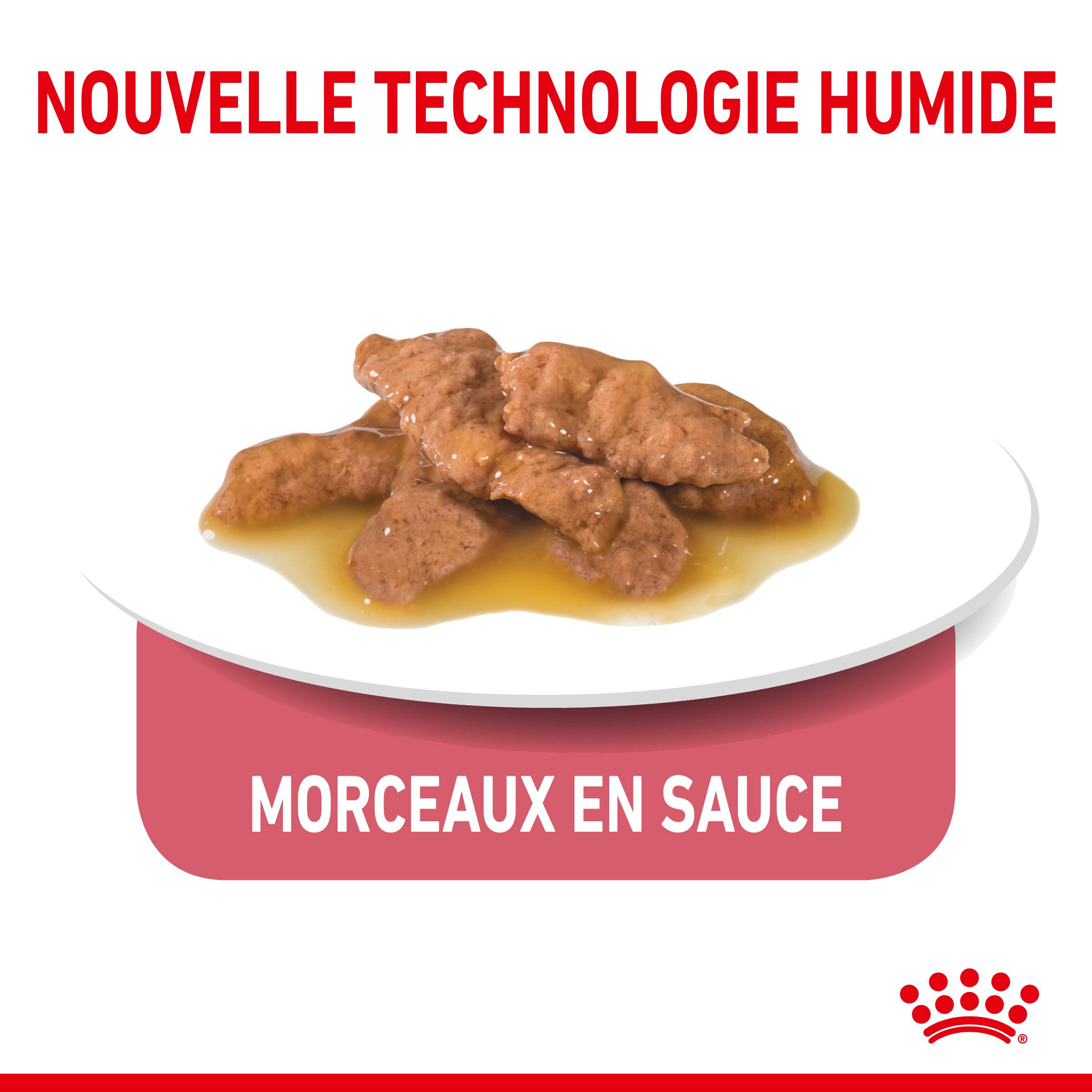 Royal Canin - Sachets Fraîcheur Chat Indoor - ROYAL CANIN - Image 9