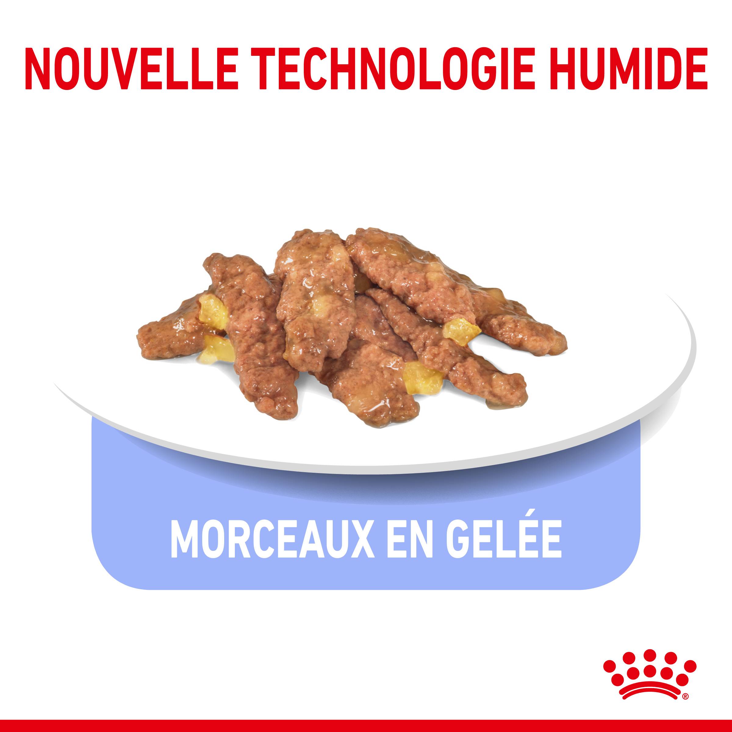 Royal Canin - Gelée chat d'intérieur stérilisé – ROYAL CANIN - Image 7