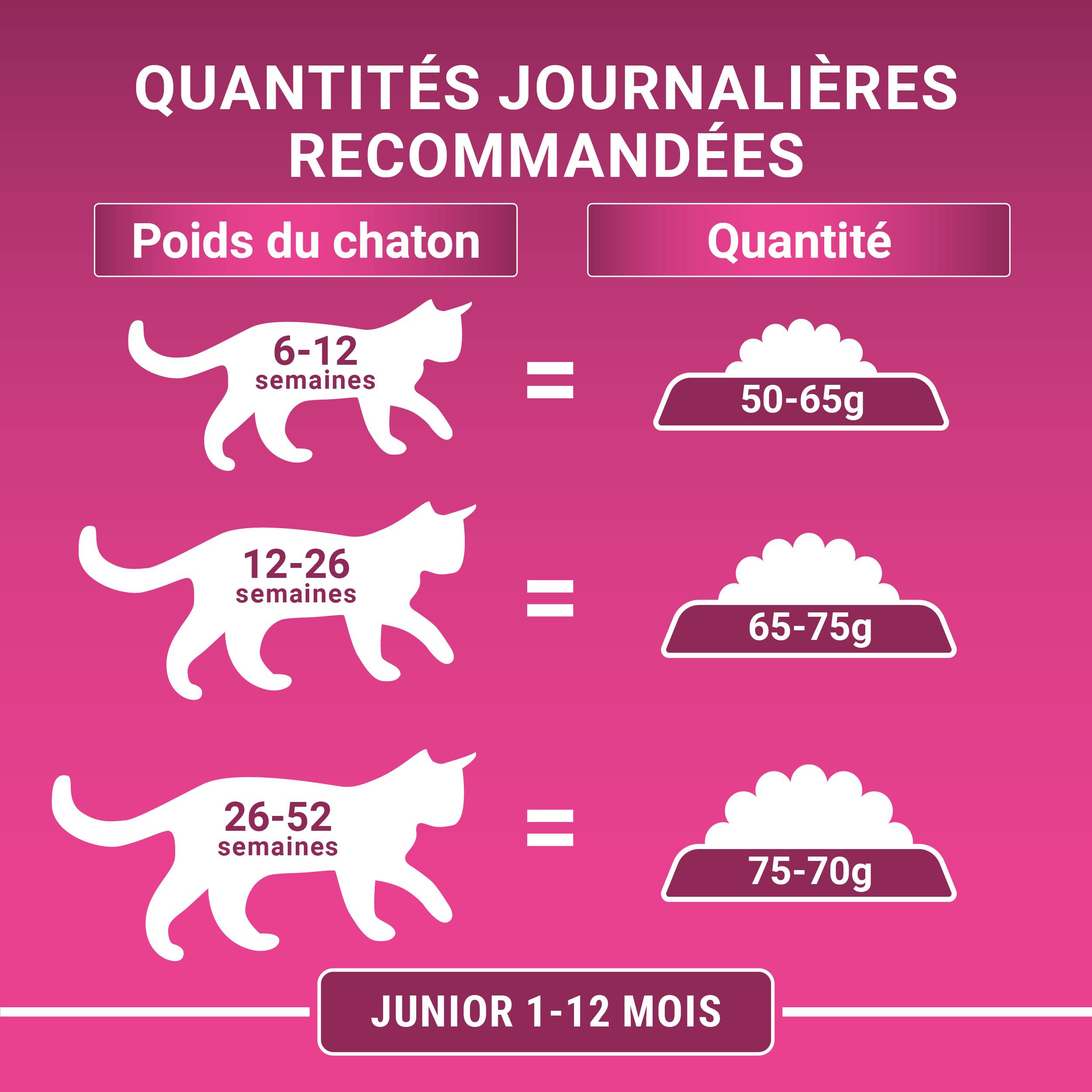Purina One - Croquettes chaton Poulet Céréales 1,5 kg  – PURINA ONE - Image 3