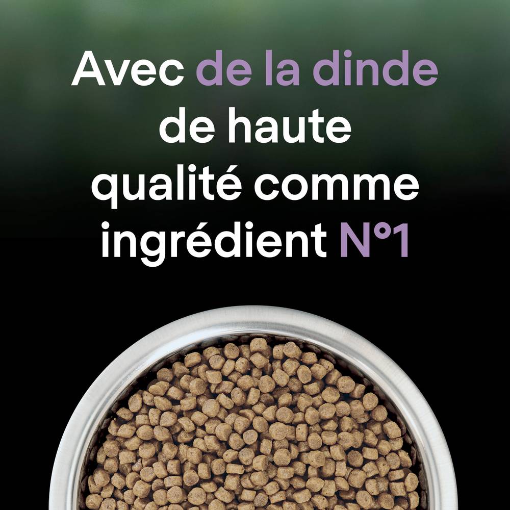 Purina Pro Plan - Croquettes chaton LiveClear 1,4 kg - PRO PLAN - Image 3