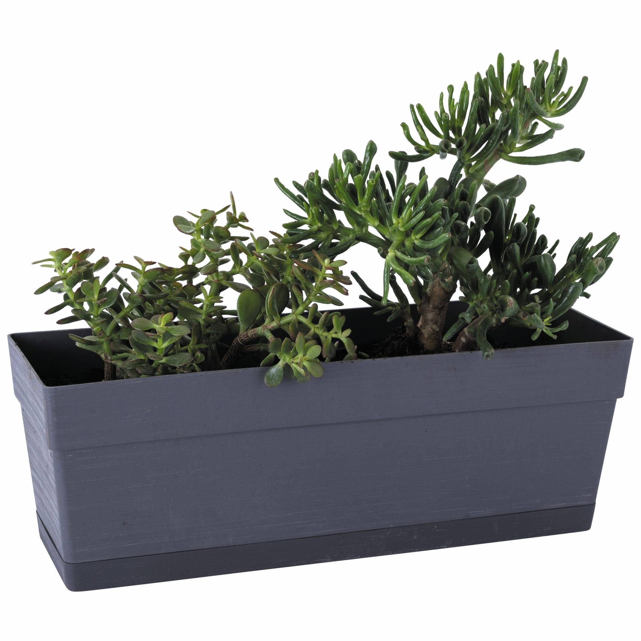 Deroma - Jardinière Save R Anthracite réserve d'eau L.49 x l.17 x H.17 cm - Image 3