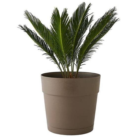 Deroma - Jardinière Save R Camel à réserve d'eau L.49 x l.17 x H.17 cm - Image 3