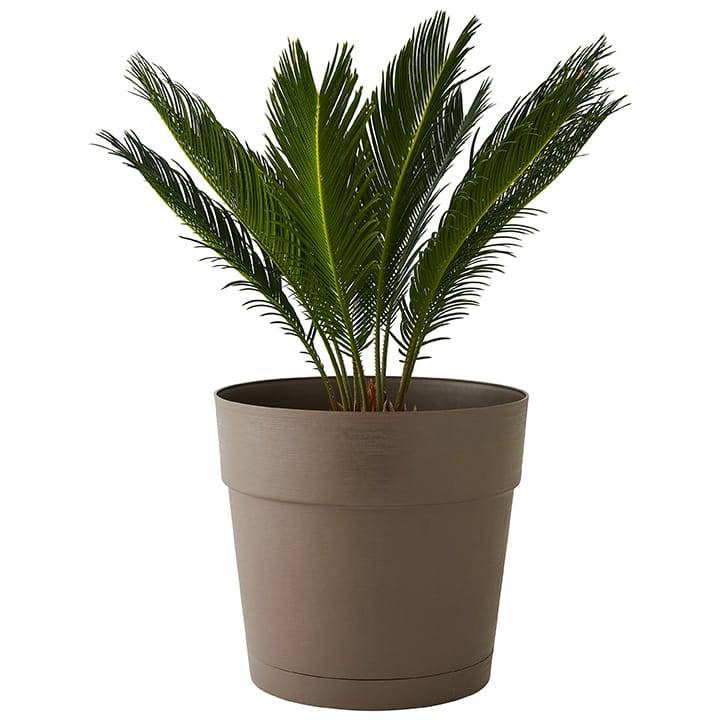 Deroma - Jardinière Save R Camel à réserve d'eau L.49 x l.17 x H.17 cm - Imagen 3
