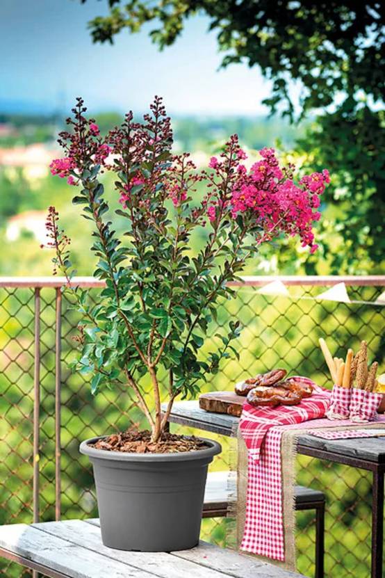 Deroma - Pot De Fleurs Rond Recyclat Anthracite - DEROMA - Image 2