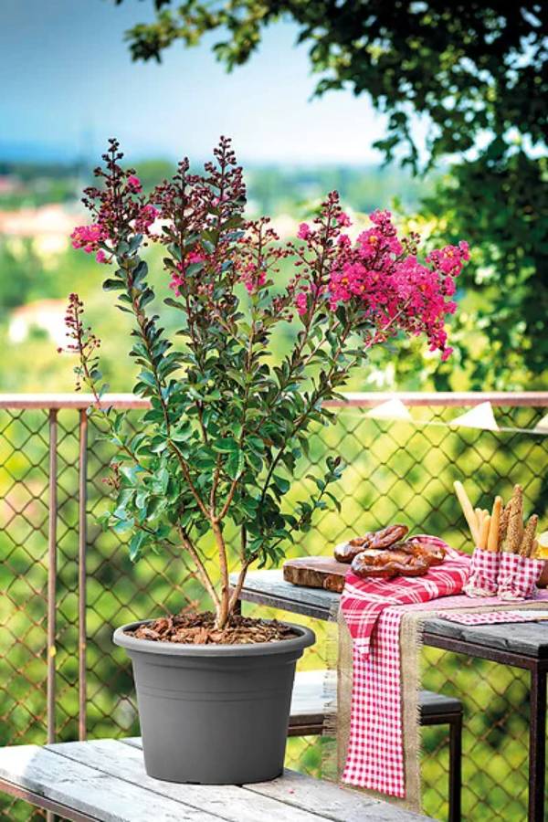 Deroma - Pot De Fleurs Rond Recyclat Anthracite - DEROMA - Image 2
