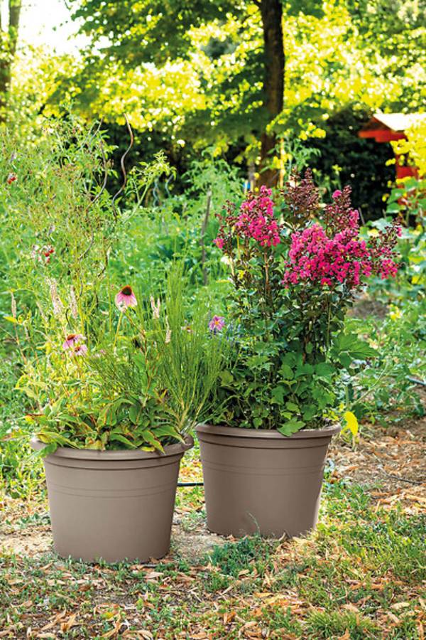 Deroma - Pot de Fleurs Rond Polypropylène Taupe – DEROMA - Imagen 2