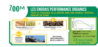 Fertiligène Naturel - Engrais Arbres Arbustes Buis - FERTILIGENE