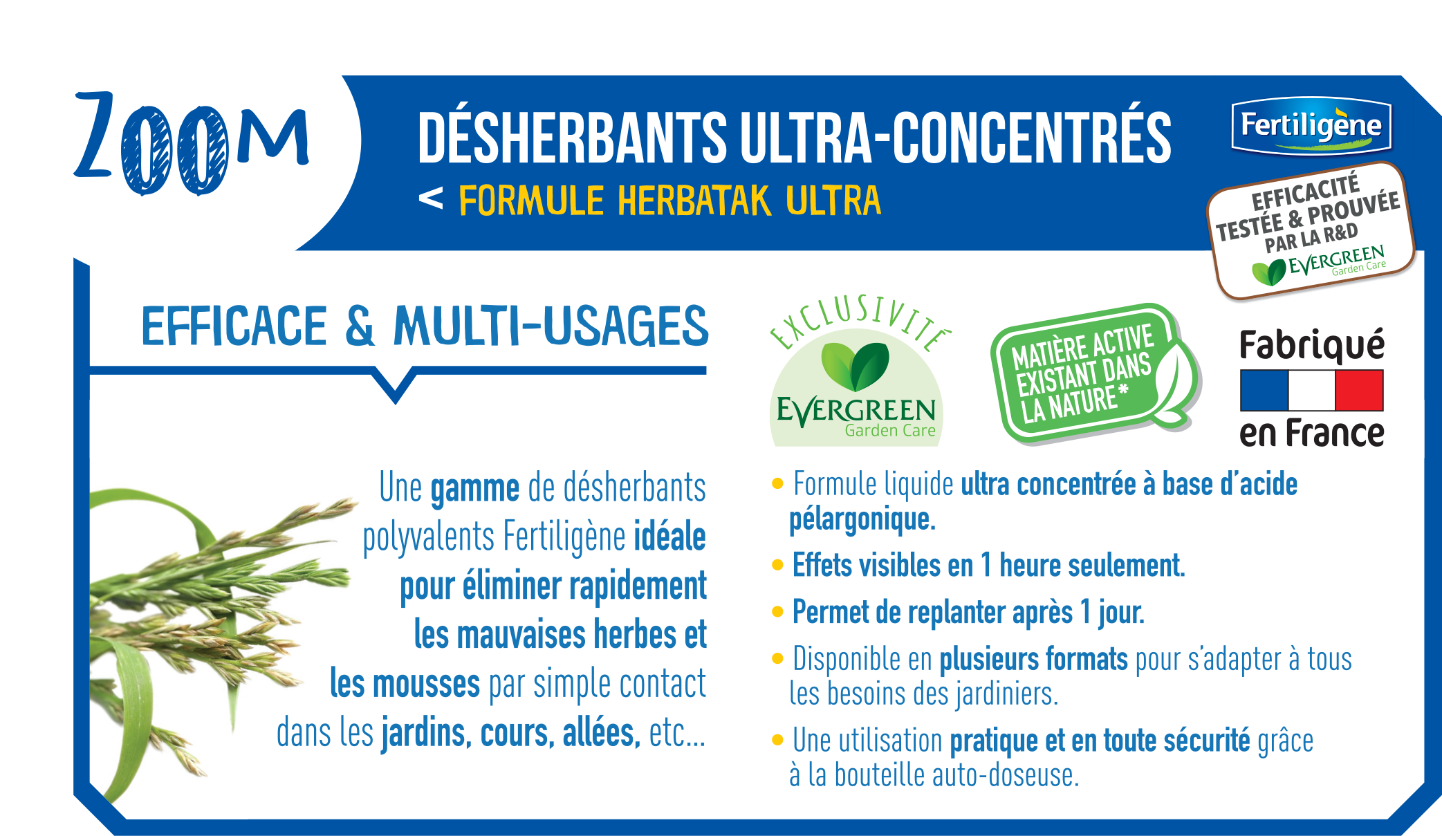 Fertiligène - Désherbant Concentré Jardin Cours Allées Tubes 12 tubes 120m² - Imagen 2