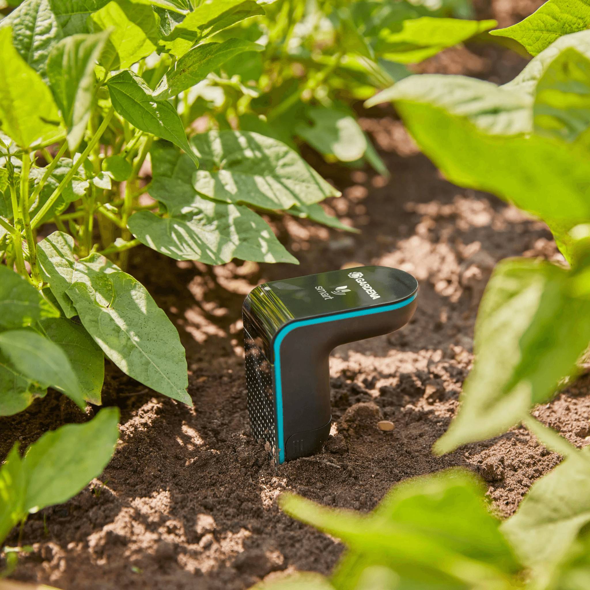 Kit arrosage connecté Smart Sensor Control GARDENA - Image 3