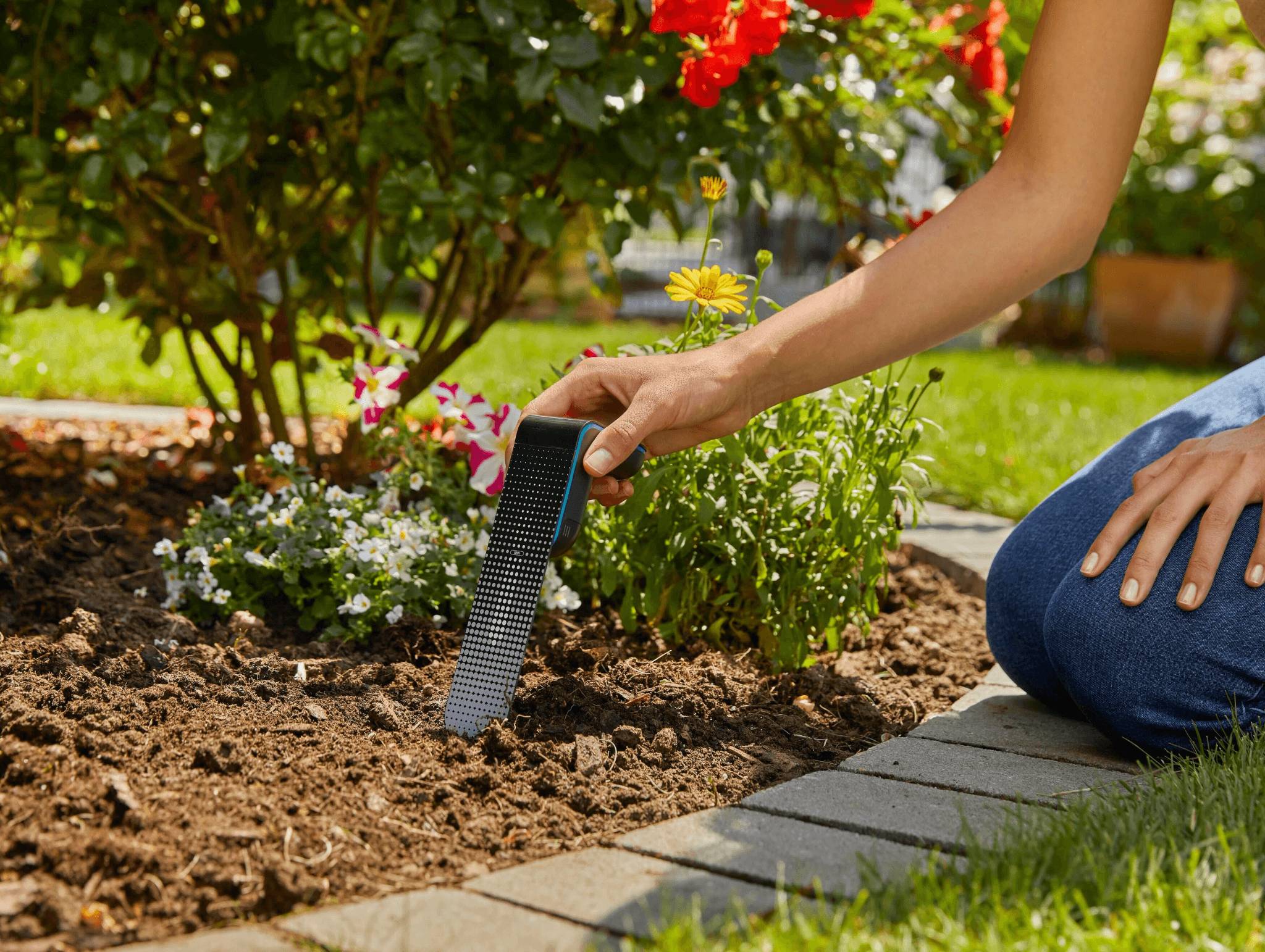 Sonde d'humidité connectée à piles smart sensor - GARDENA - Image 12