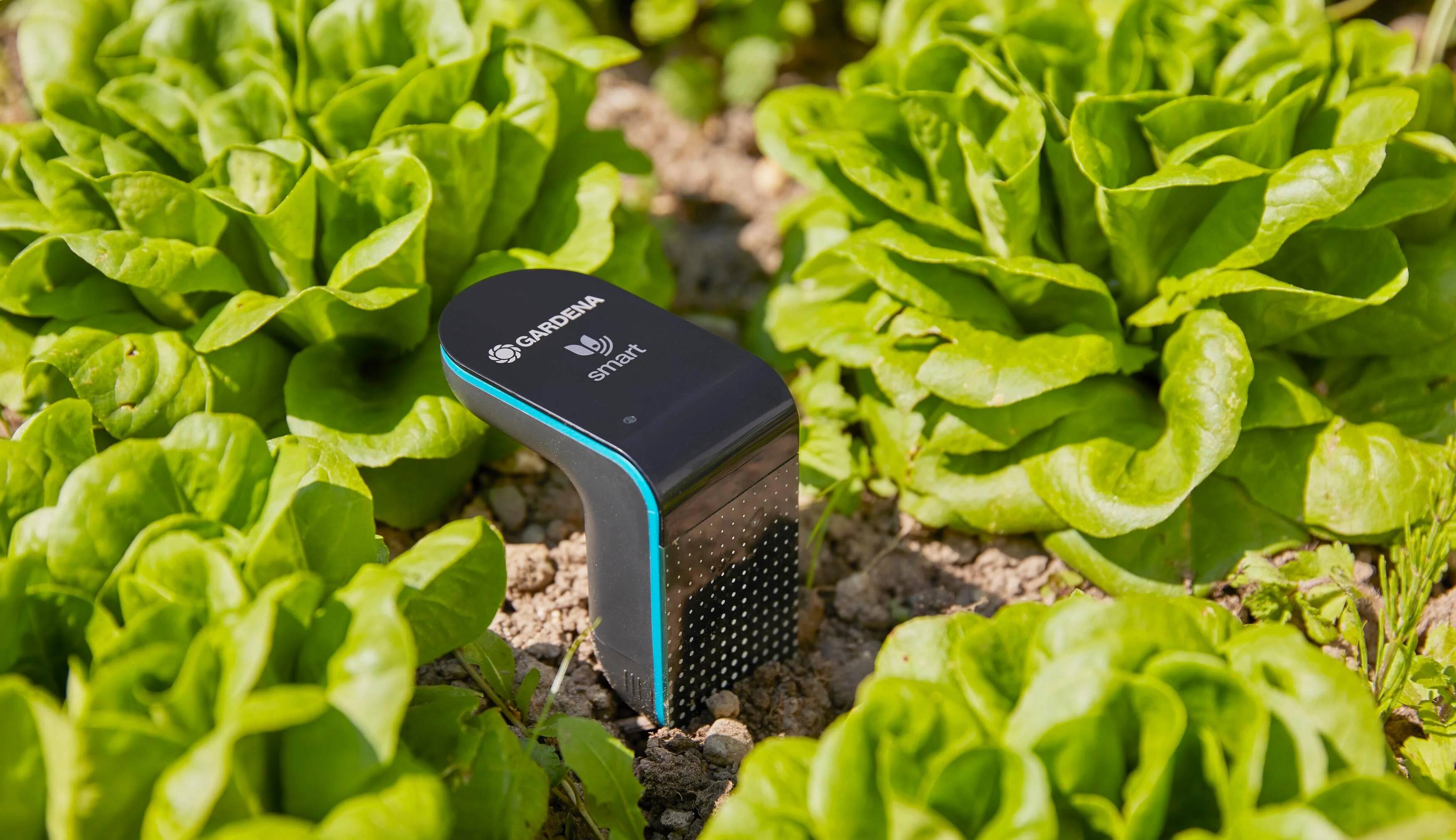 Sonde d'humidité connectée à piles smart sensor - GARDENA - Image 10