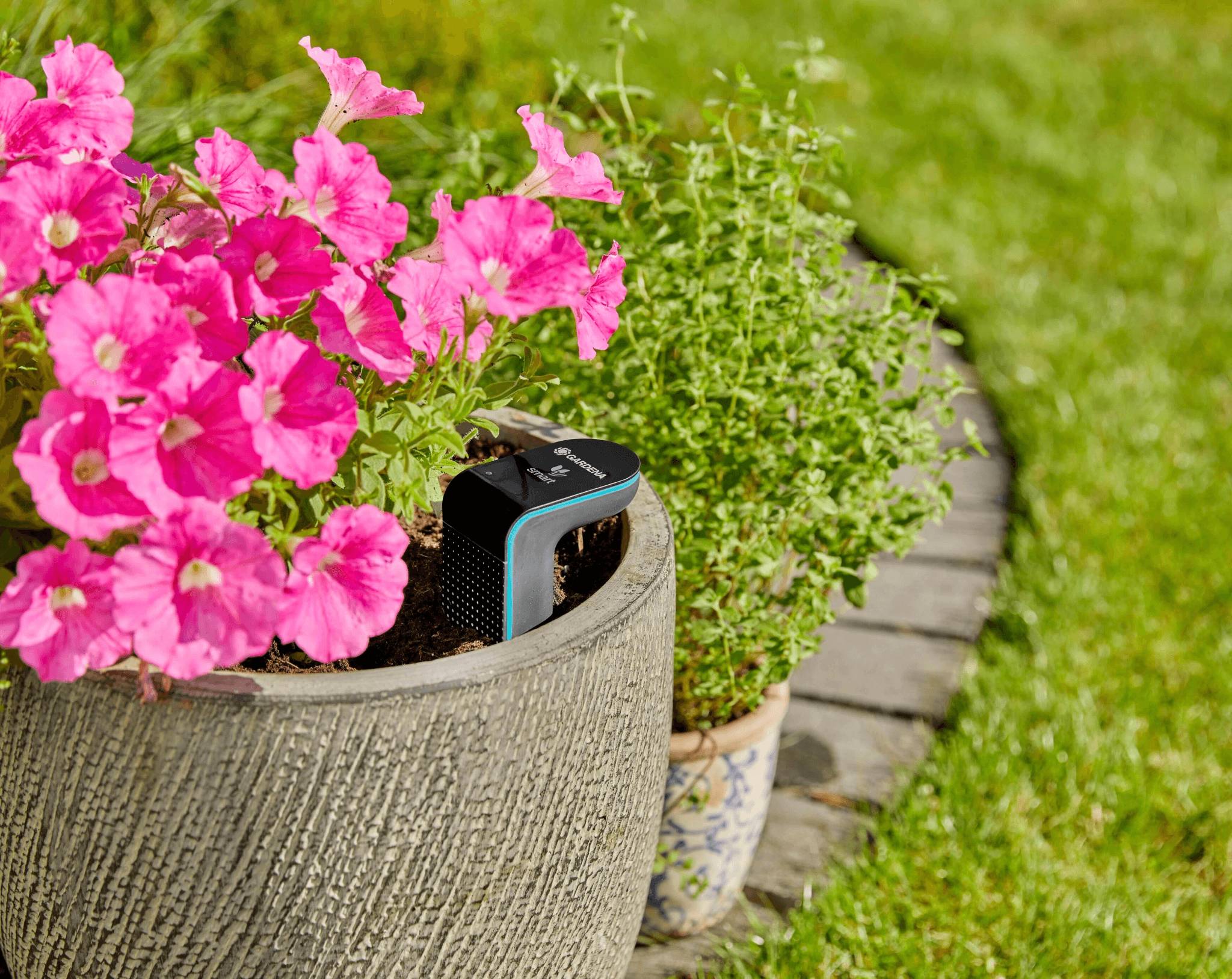 Sonde d'humidité connectée à piles smart sensor - GARDENA - Image 7