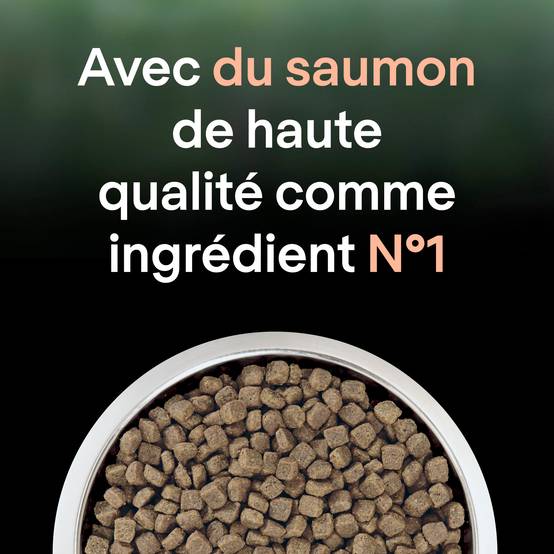Purina One - Croquettes chat LiveClear Stérilisé Saumon2,8 kg - PRO PLAN - Image 11