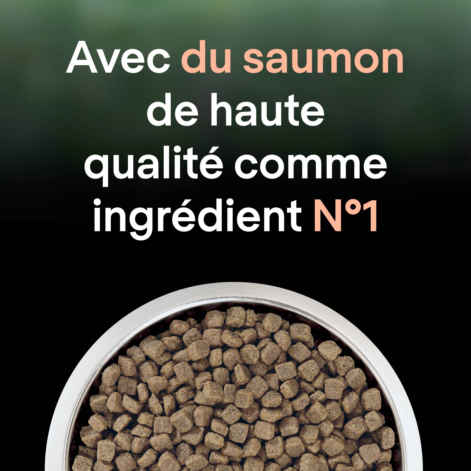 Purina One - Croquettes chat LiveClear Stérilisé Saumon2,8 kg  - PRO PLAN - Imagen 11