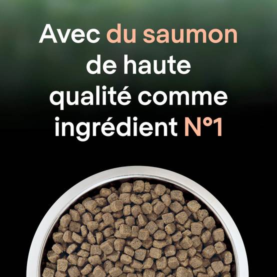 Purina One - Croquettes chat LiveClear Stérilisé Saumon2,8 kg - PRO PLAN - Image 14