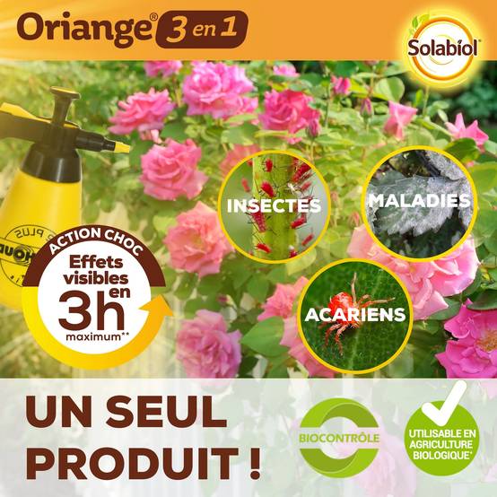 Solabiol - Traitement Total 3 en 1 – SOLABIOL - Image 5