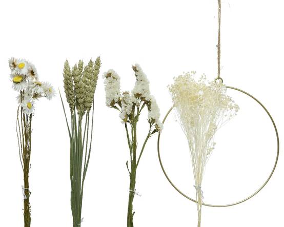 DIY Anneau avec fleurs séchées - Blanc L.37 x l.25 x H.2,3 cm