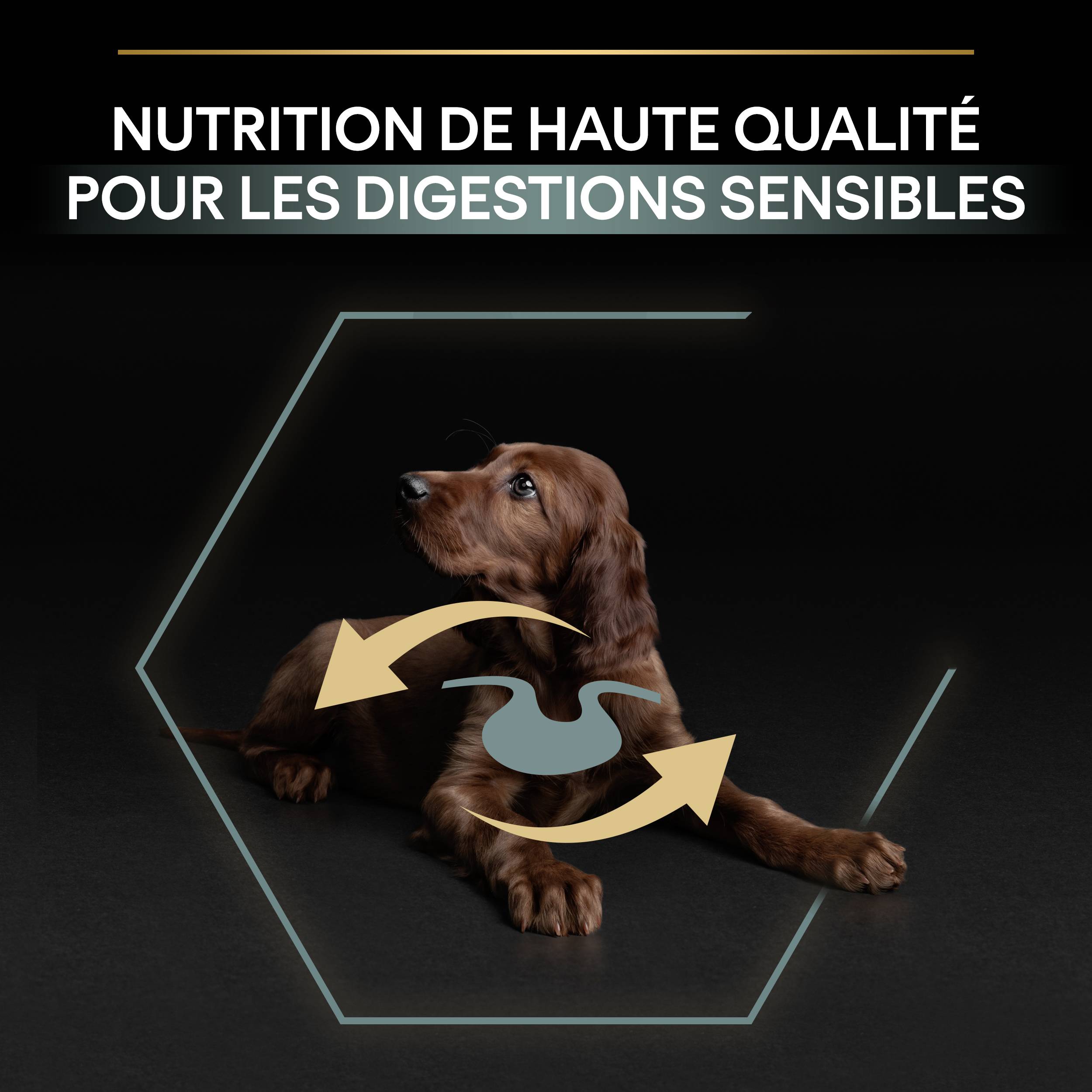 Purina Pro Plan - Croquettes chiot Large Digestion Difficile Agneau 12 kg - PRO PLAN - Image 6