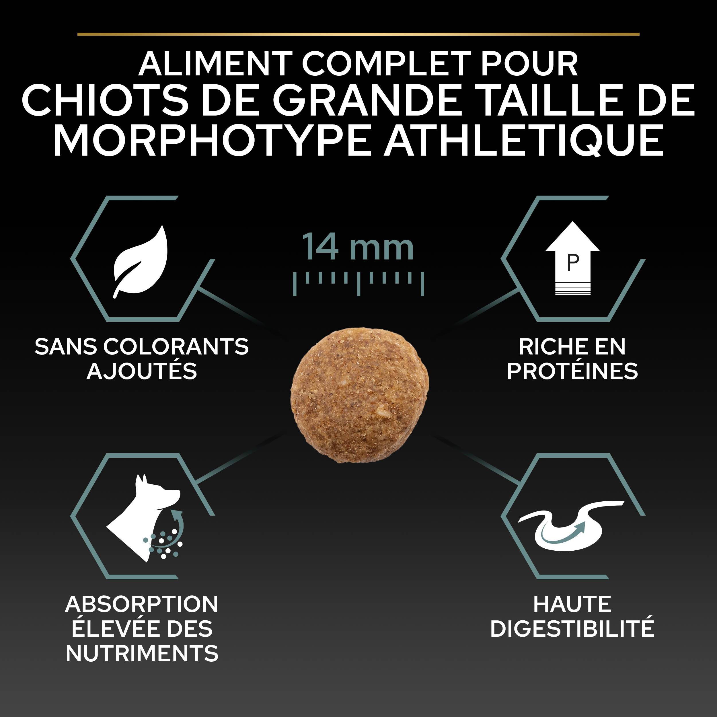 Purina Pro Plan - Croquettes chiot Large Digestion Difficile Agneau 12 kg - PRO PLAN - Image 7