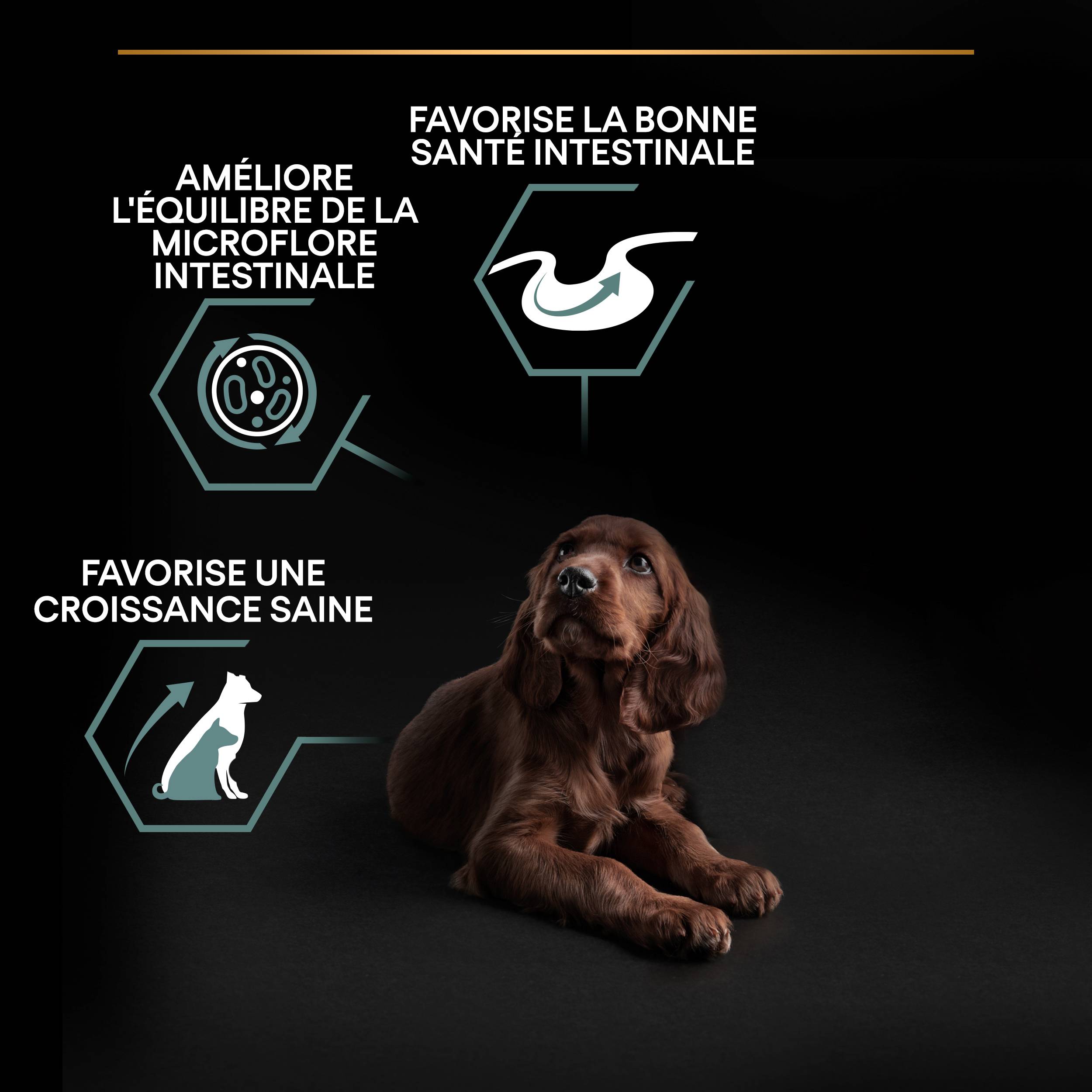Purina Pro Plan - Croquettes chiot Large Digestion Difficile Agneau 12 kg - PRO PLAN - Image 5