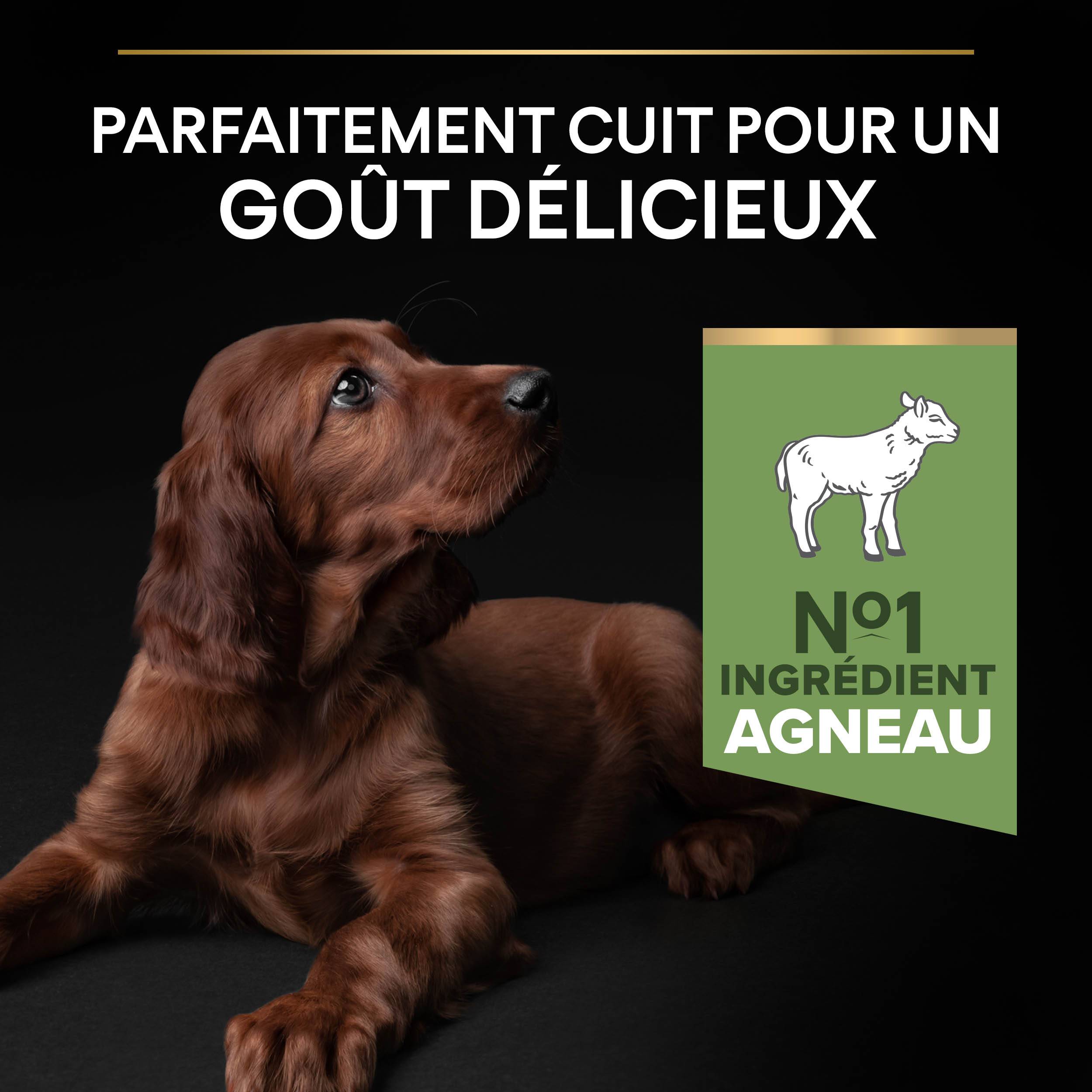 Purina Pro Plan - Croquettes chiot Large Digestion Difficile Agneau 12 kg - PRO PLAN - Image 10