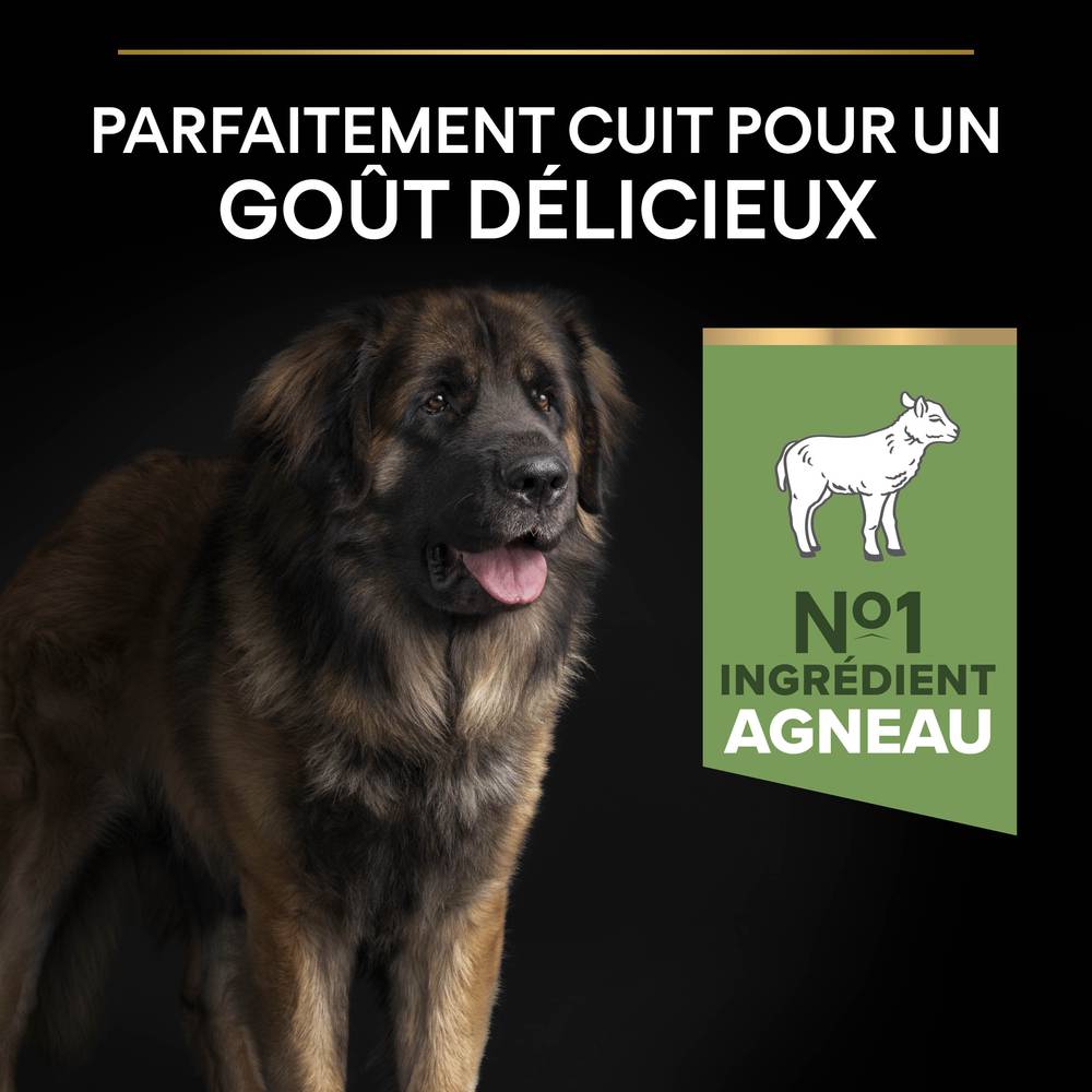 Purina Pro Plan - Croquettes chiot Large Digestion Difficile Agneau 12 kg - PRO PLAN - Image 15
