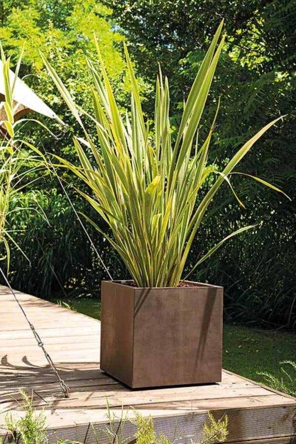 Deroma - Cubo Millennium Bac Réserve d'eau Plastique Marron – DEROMA - Imagen 4