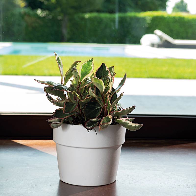 Deroma - Pot Vaso Perfetto BigBand Terre Cuite Epoxy Blanc - DEROMA - Image 2