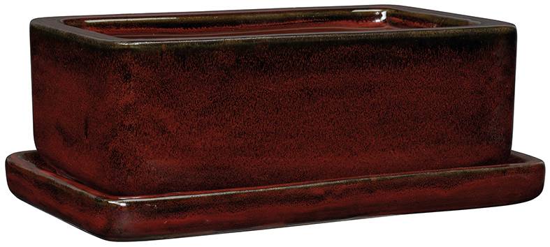 Deroma - Deroma - Mini Jardin + plateau Japandi L.35 x l.23 x H.12 cm - Image 3