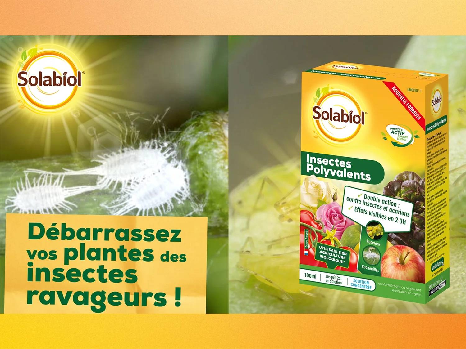Solabiol - Insecticide Polyvalent - SOLABIOL - Imagen 2