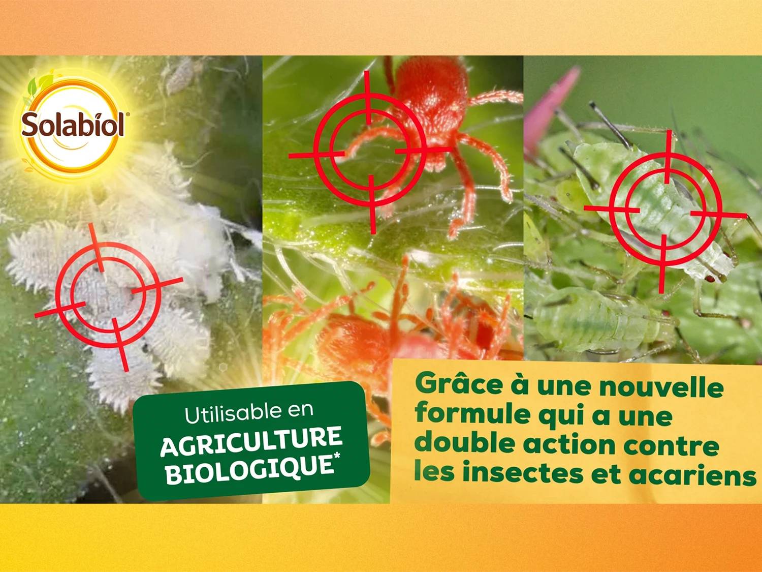 Solabiol - Insecticide Polyvalent - SOLABIOL - Imagen 3