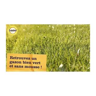 NONAME - Engrais gazon anti-mousse action double 3,2 kg vert - Solabiol