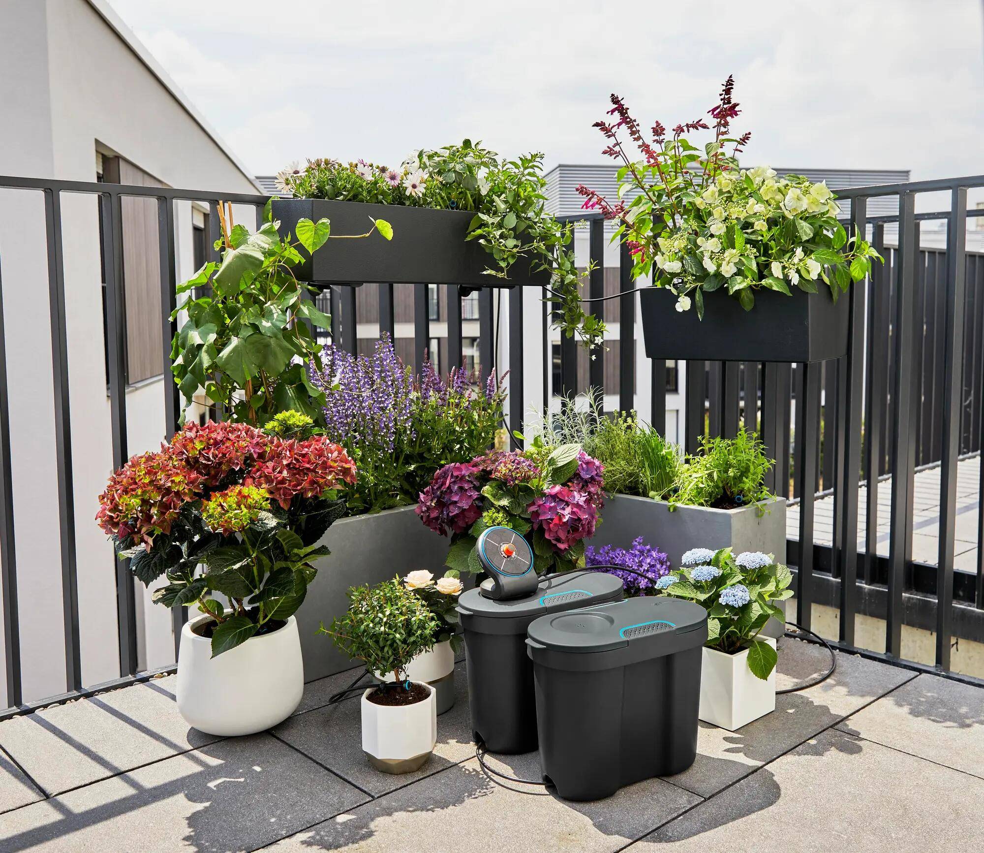 Gardena - Solution arrosage automatique solaire jusqu'à 20 plantes - Gardena - Image 5