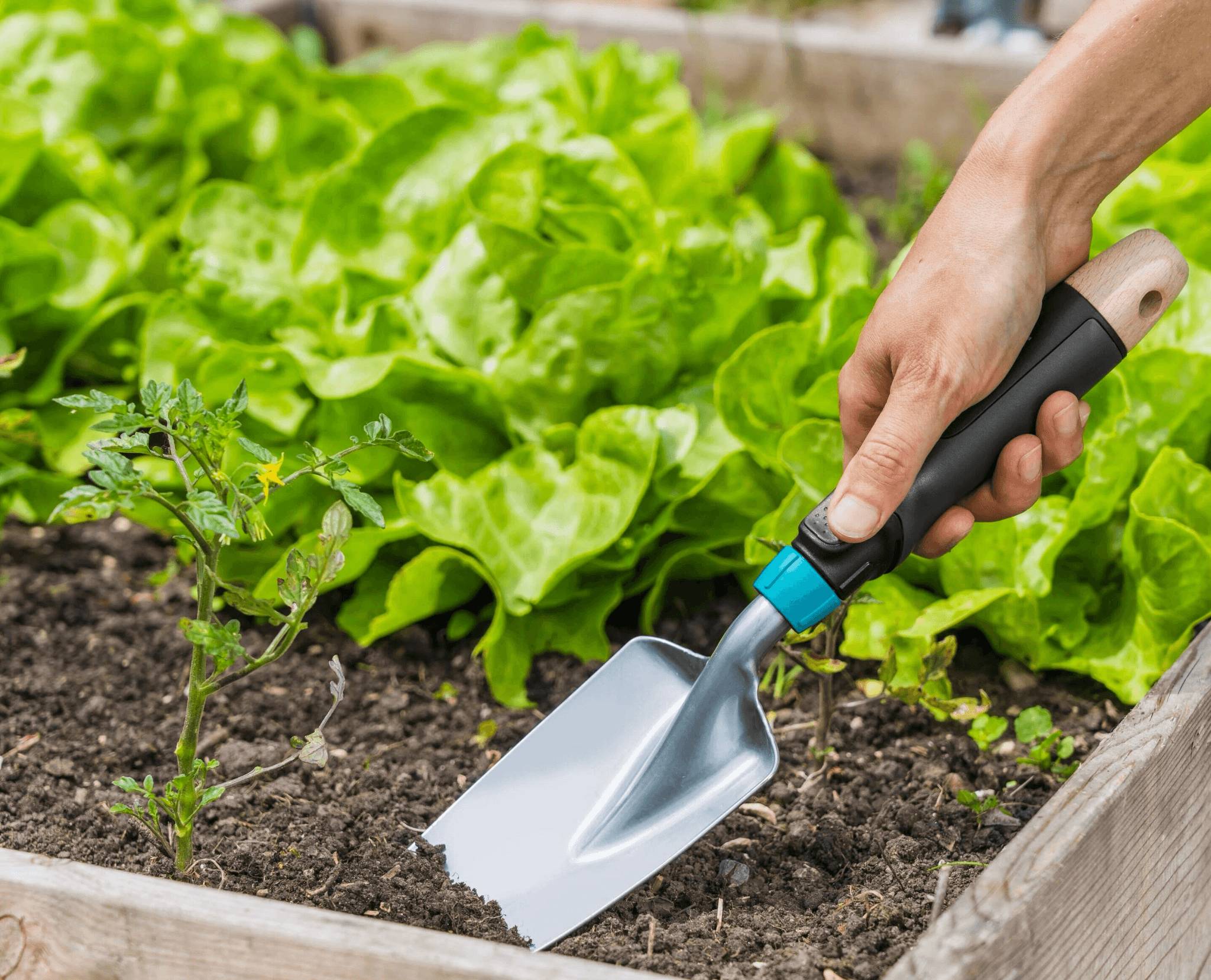 Transplantoir jardin acier EcoLine GARDENA - Imagen 8