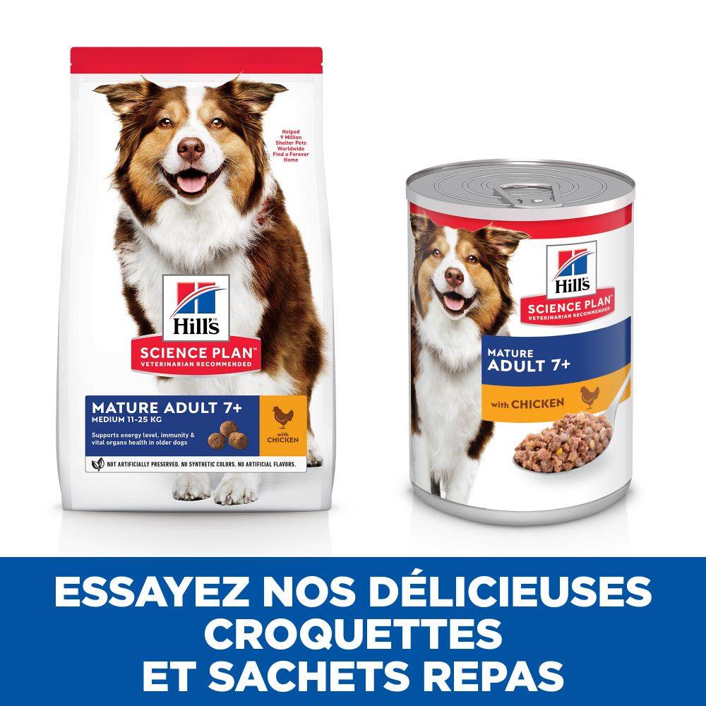Science plan - Pâtée pour Chien Mature Adulte Poulet Boite 370g - Science Plan Hill's - Image 6