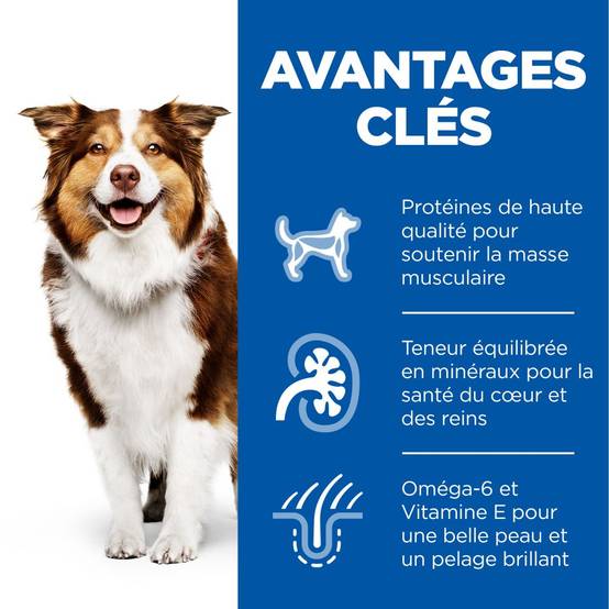 Science plan - Pâtée pour Chien Mature Adulte Poulet Boite 370g - Science Plan Hill's - Image 2