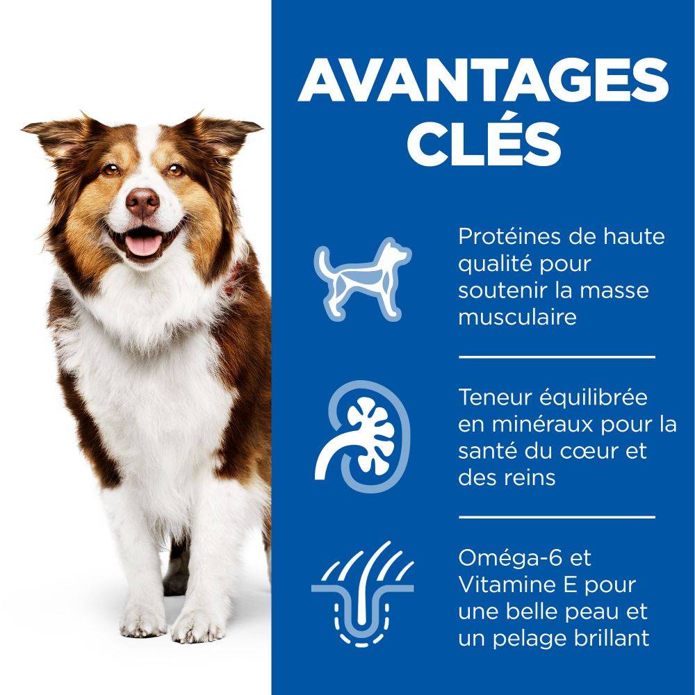 Science plan - Pâtée pour Chien Mature Adulte Poulet Boite 370g - Science Plan Hill's - Image 2