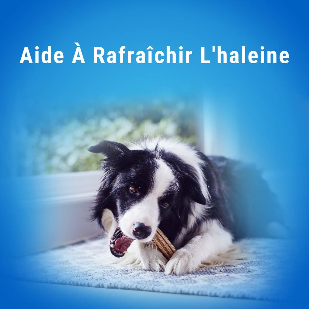 Dentalife - Sticks bucco-dentaire pour petit chien 21  x  345 g  - Dentalife - Imagen 13