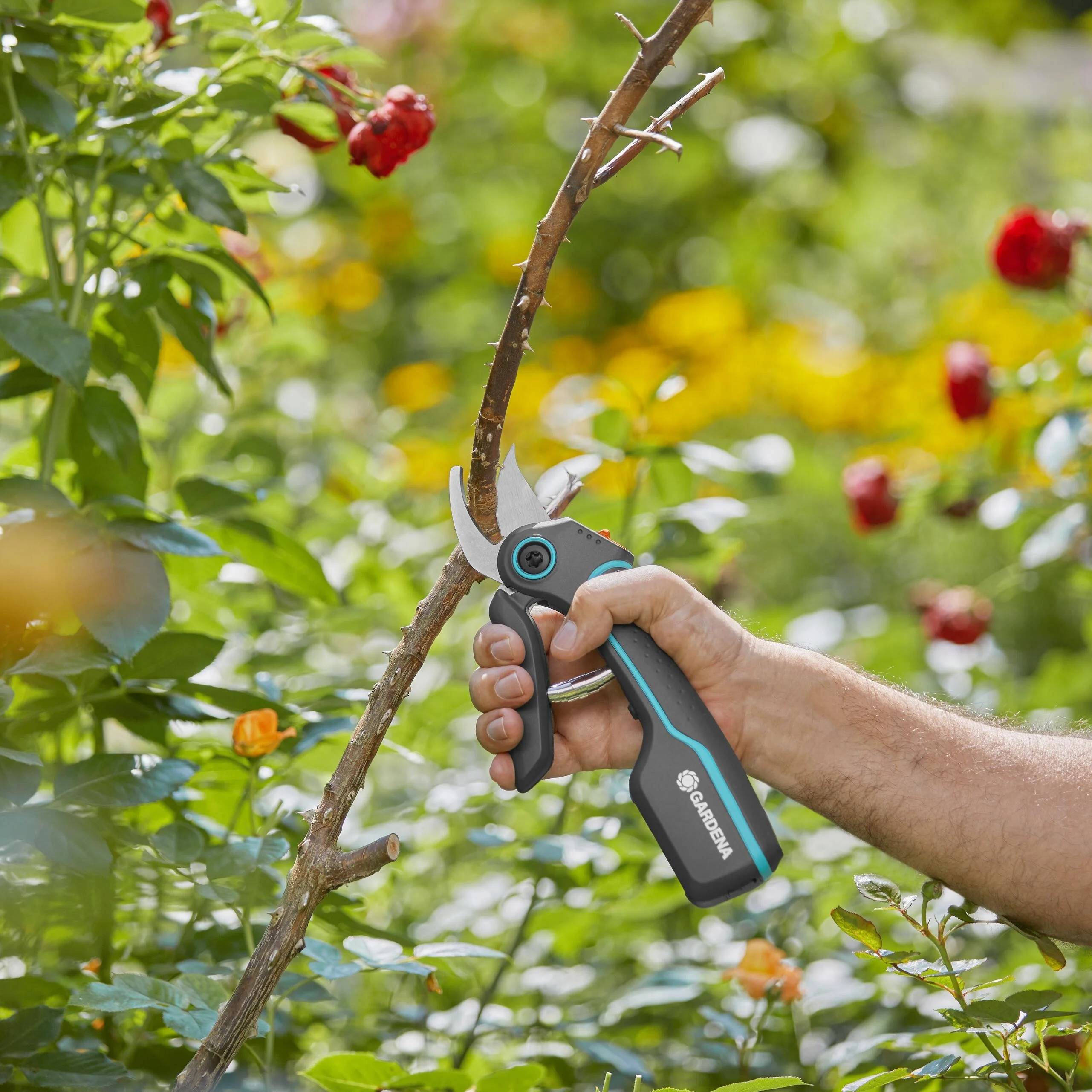 Sécateur batterie AssistCut acier inoxydable GARDENA - Imagen 8