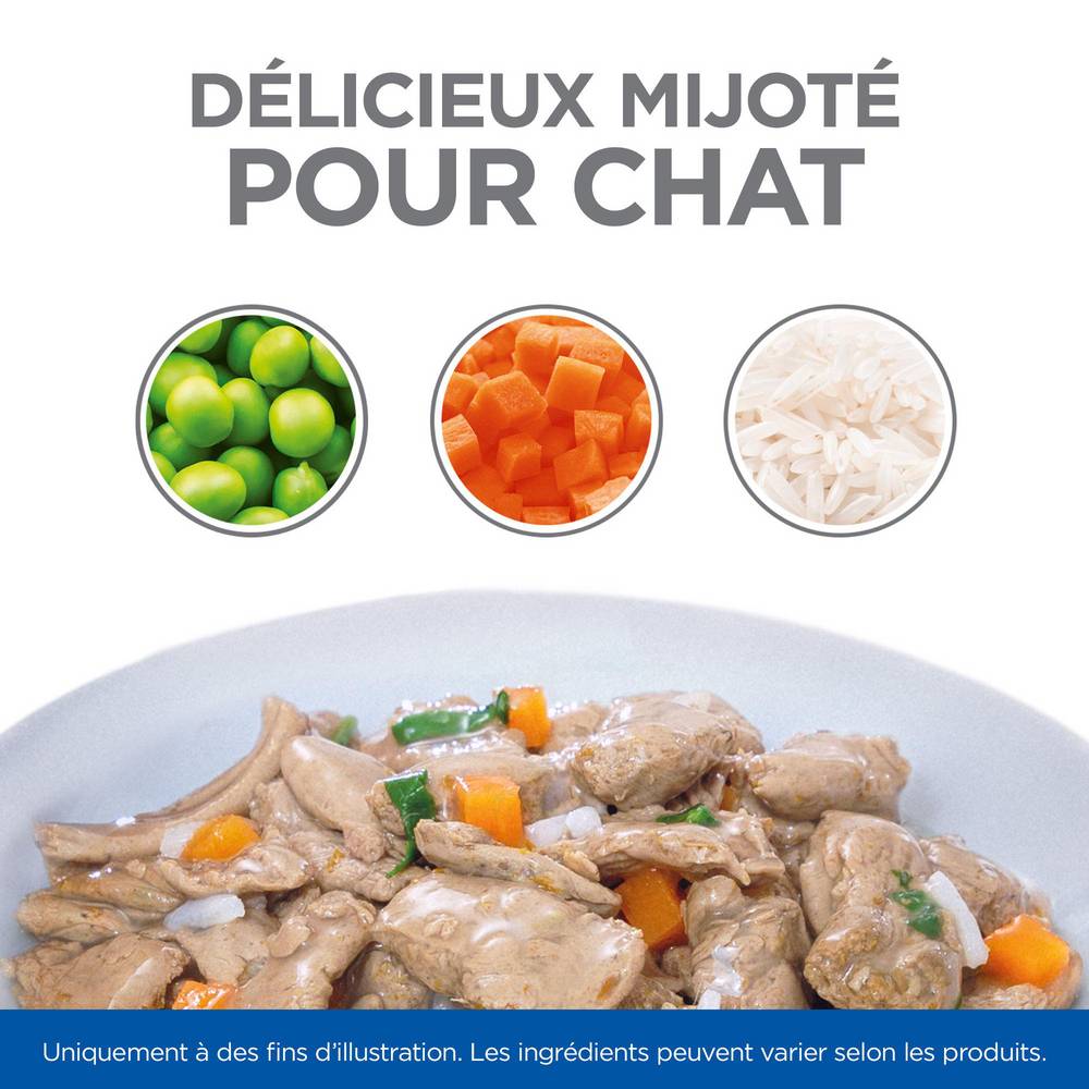 Science plan - Multipack pour Chat Adulte Sterilised Cat Healthy Cuisine Poulet Saumon 12x80g - Science Plan Hill's - Image 7