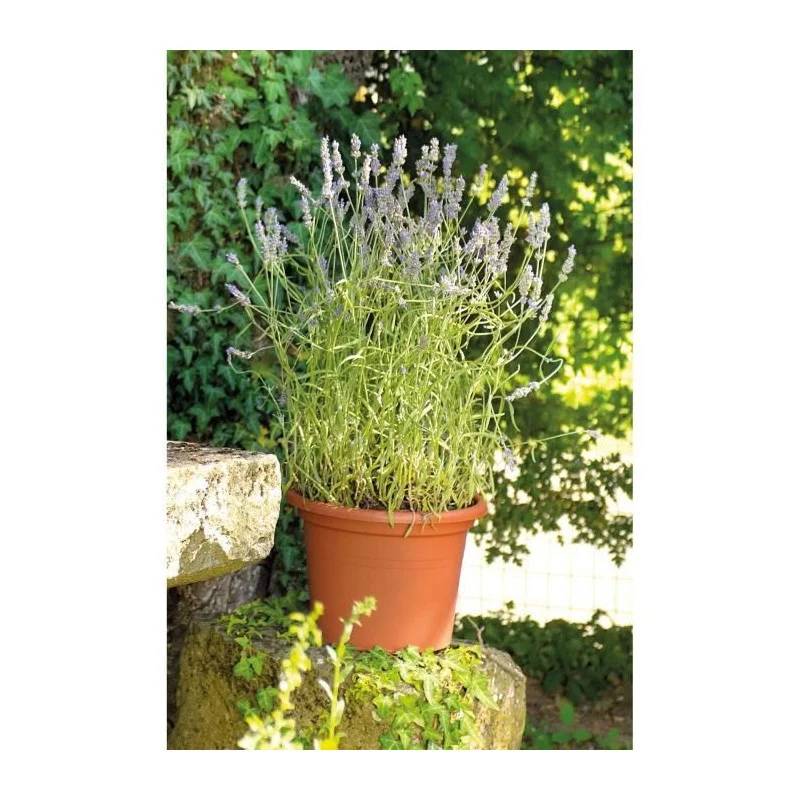 Pot de fleurs rond en recyclat terre rouge Ø40 cm H.27.2 cm - Deroma - Imagen 3
