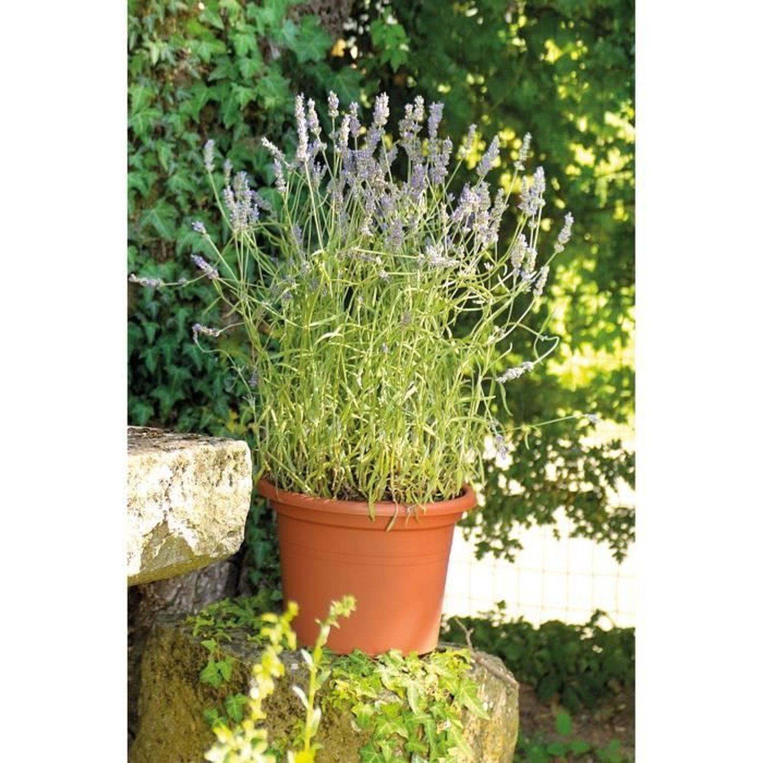 Pot de fleurs rond en recyclat terre rouge Ø40 cm H.27.2 cm - Deroma - Imagen 8
