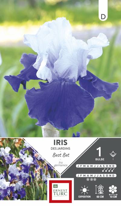 Ernest Turc - Bulbes Iris germanica best bet - ERNEST TURC - Imagen 1
