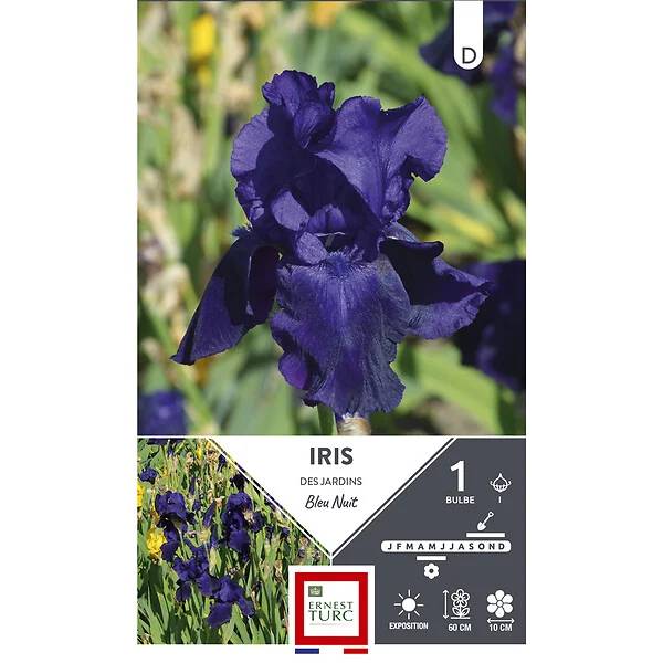 Ernest Turc - Bulbes Iris Germanica Bleu Nuit ERNEST TURC - Image 2
