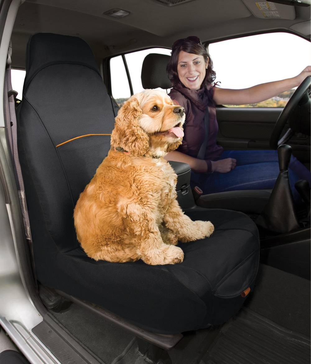 Kurgo - Kurgo - Funda de asiento Copilot - L.18 x l.7 x H.33 cm - Imagen 6