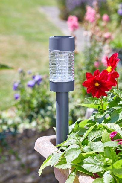 Smart Garden - Smart Garden - Balise solaire Martini 365 Ø.6,2 x H.42 cm - Image 2