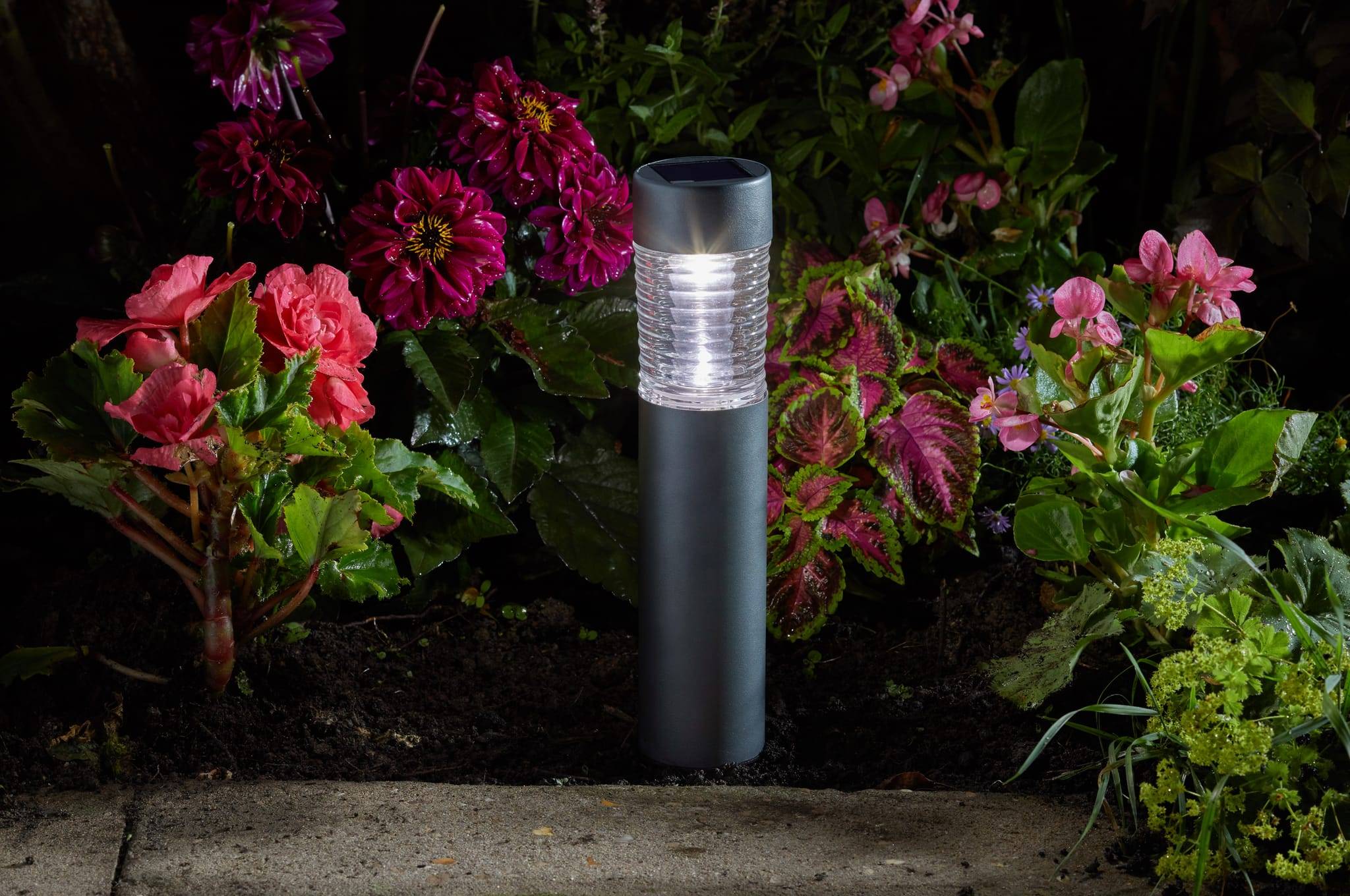 Smart Garden - baliza stella 365 10l - Imagen 2