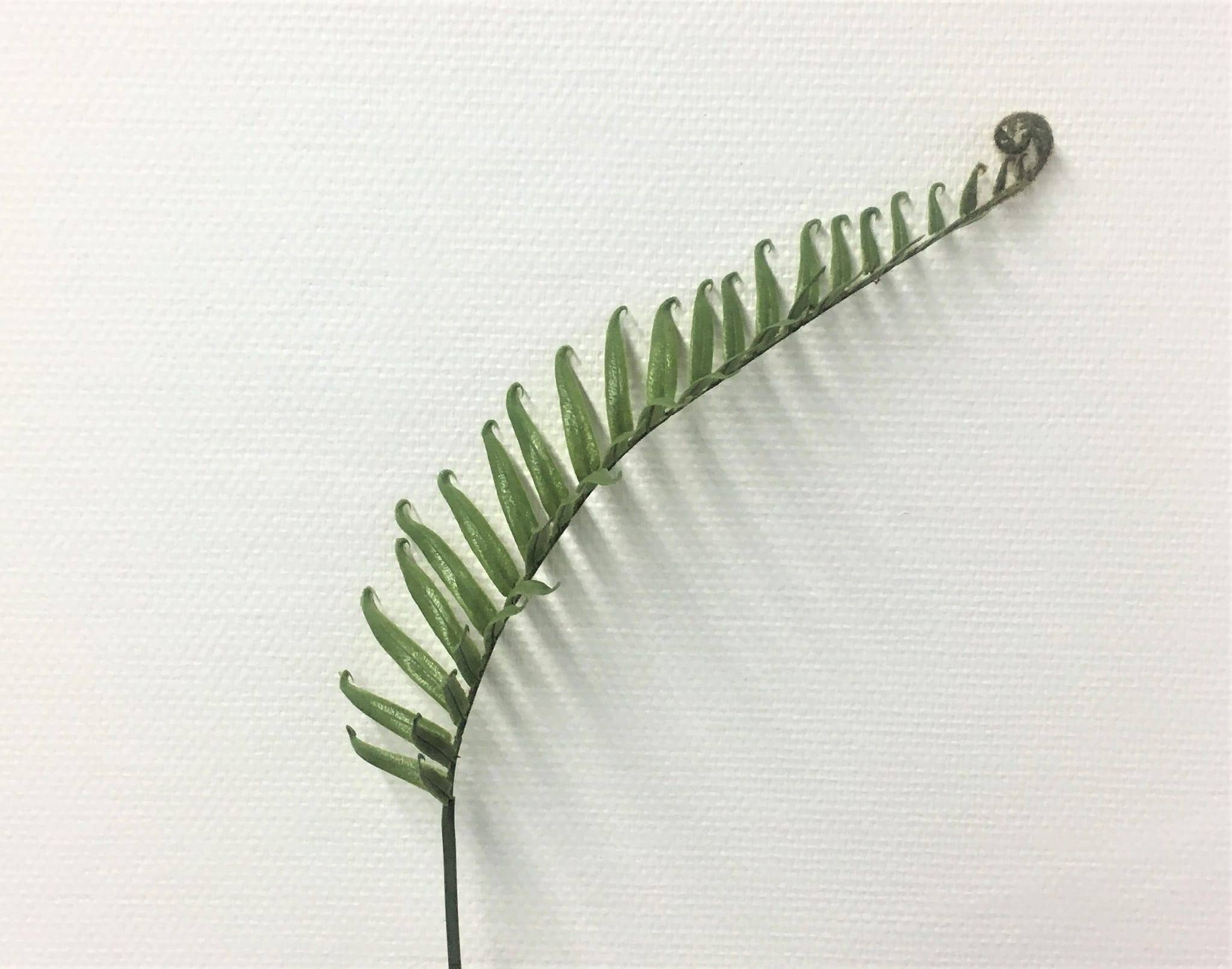 Tige fougère verte artificielle 84 cm