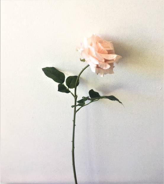 Tige rose ouverte saumon artificielle 56 cm