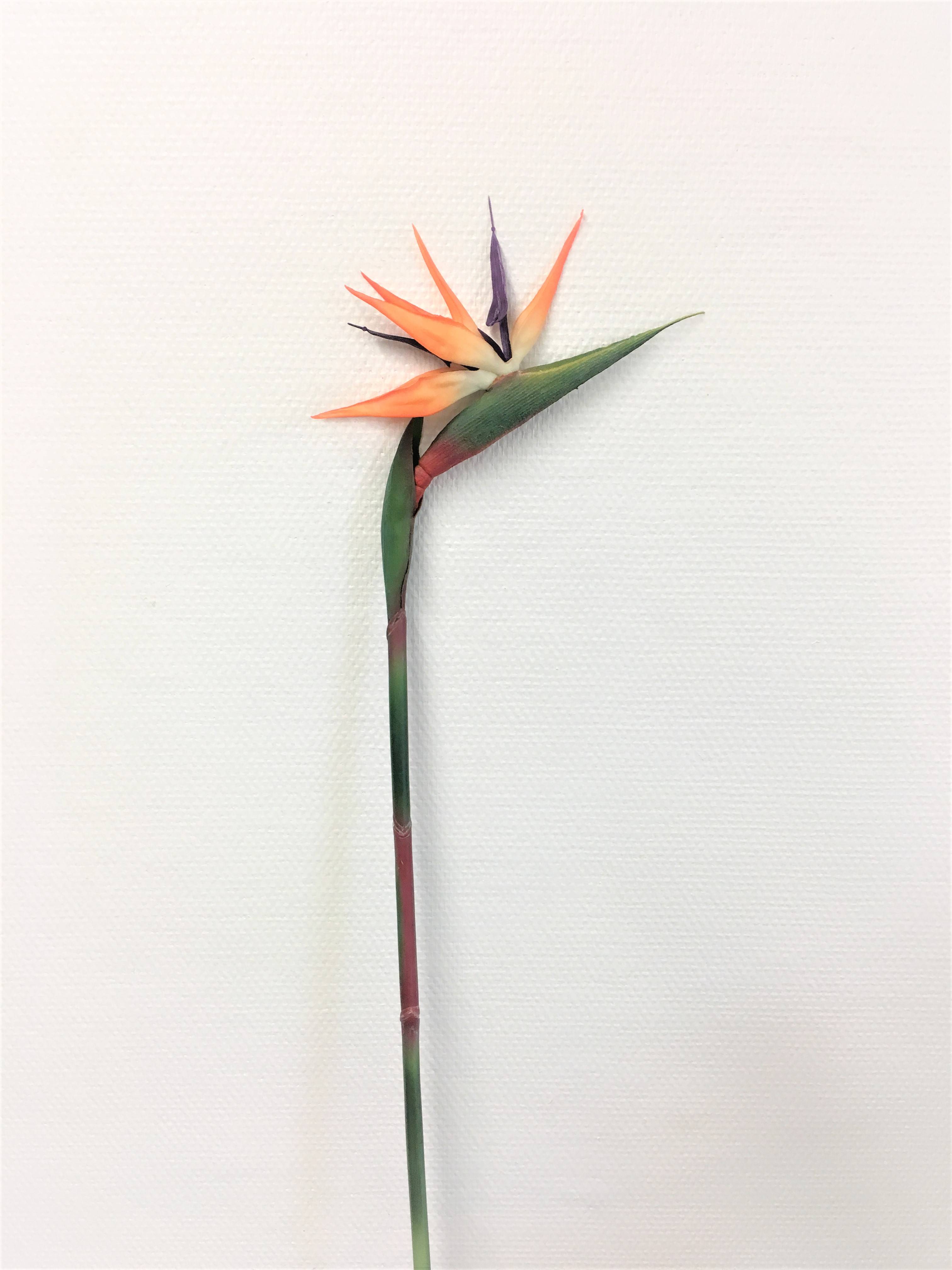 Tallo artificial de ave del paraíso naranja 60 cm